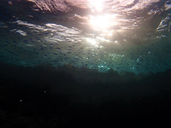 e0132965_18354127.jpg
