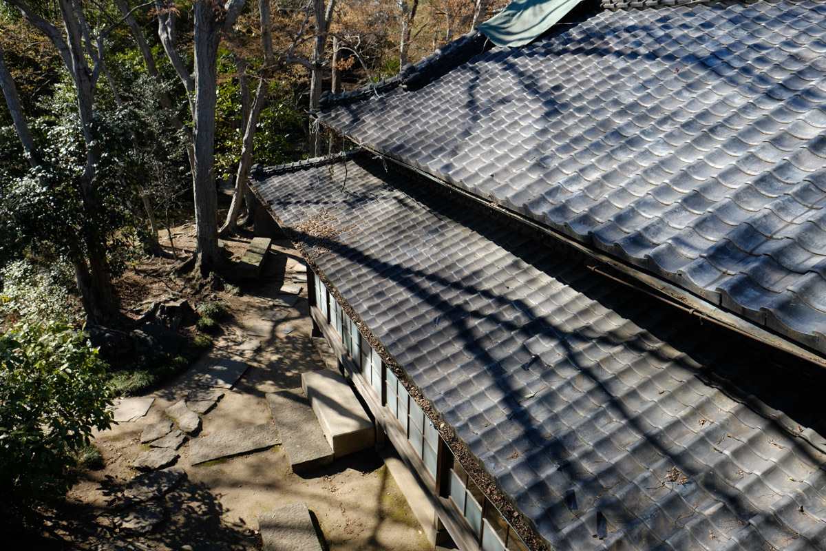 c0084666_17204417.jpg