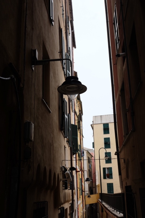 c0118375_14252852.jpeg