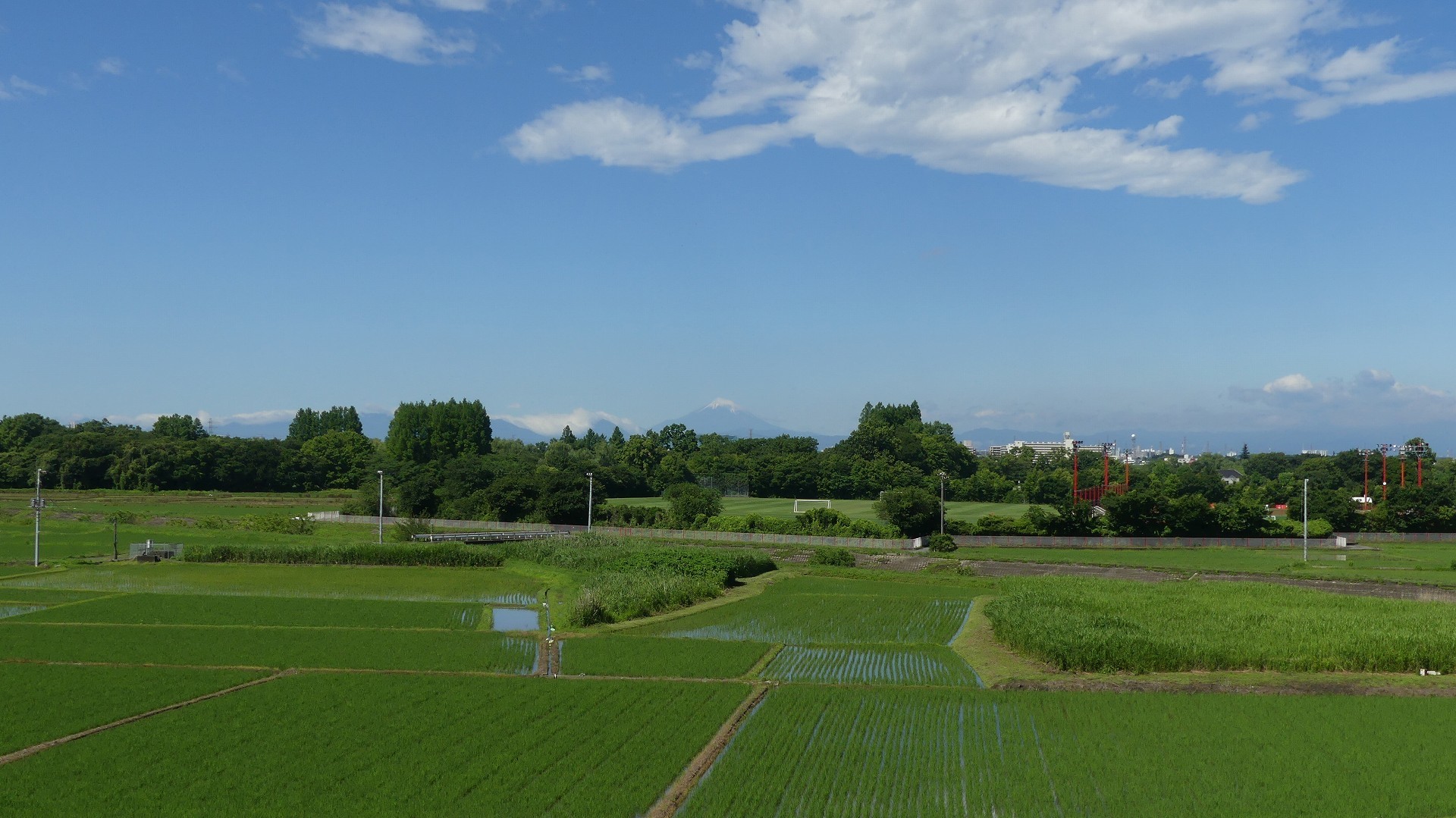 雨が降った翌日には・・・　【 2019　6/16（日) 】_a0185081_15280618.jpg