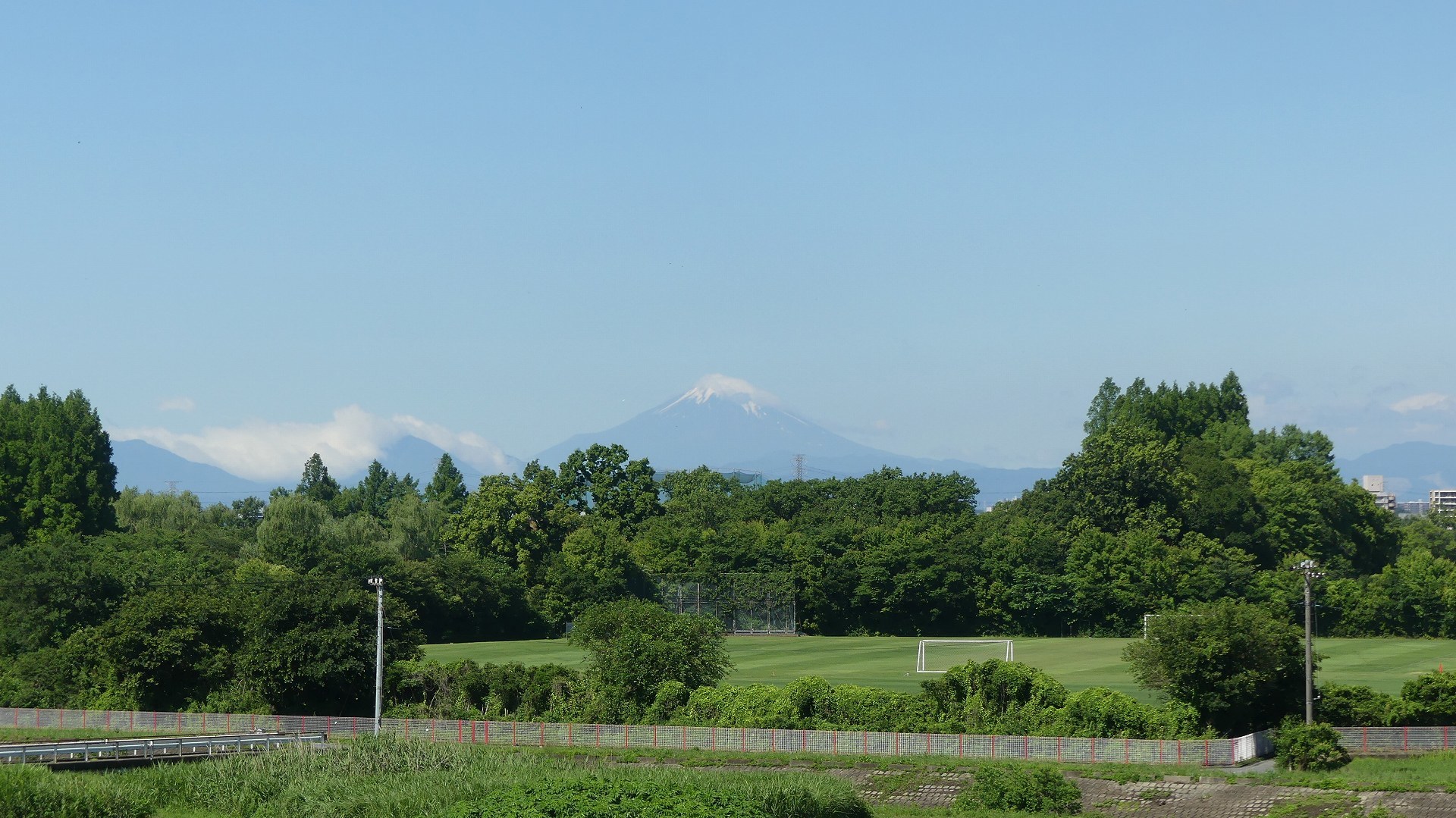 雨が降った翌日には・・・　【 2019　6/16（日) 】_a0185081_15283515.jpg