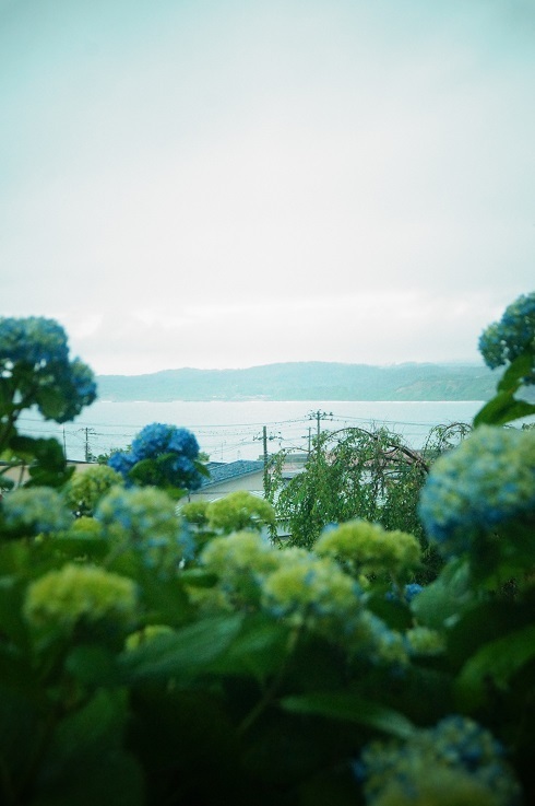 ちょっと早めの紫陽花寺_d0129083_21411542.jpg