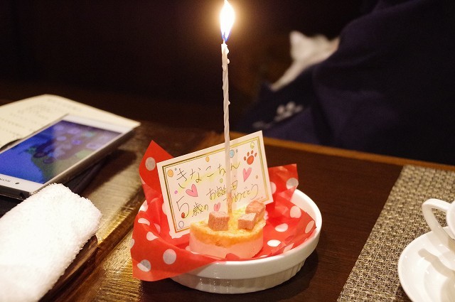 きなこ5歳のお誕生日旅行 ② お宿_f0169884_16143237.jpg