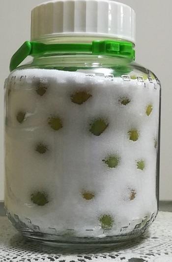 e0023790_22140579.jpg