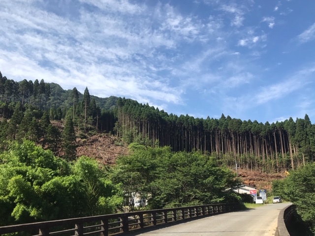 c0184491_14020545.jpg