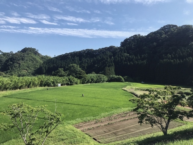 c0184491_14020930.jpg