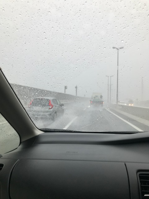 f0204295_12565531.jpg