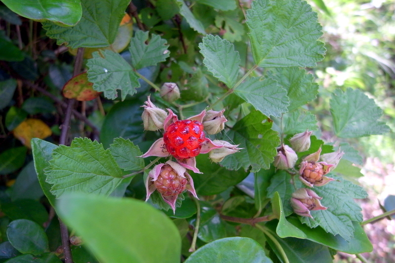 f0325295_14494604.jpg