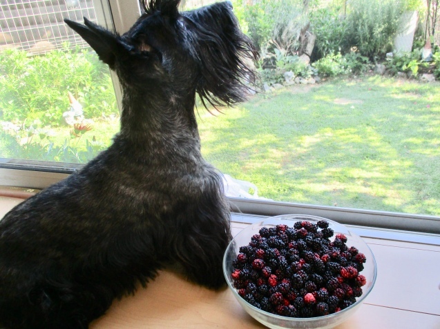 a0091796_22003063.jpeg