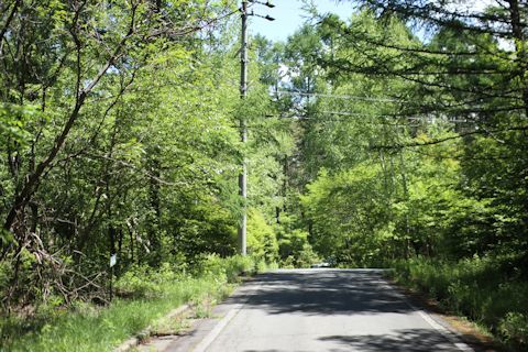 c0090198_17064366.jpg