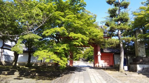 2019.06.13の京さんぽ～真如堂_e0410498_14061713.jpg