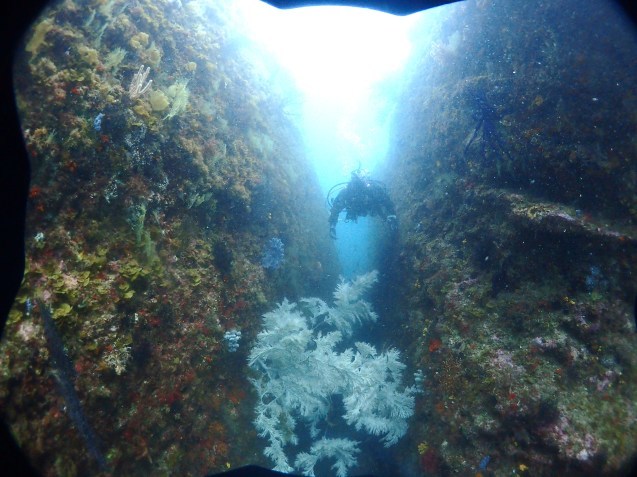 e0115199_19075891.jpg