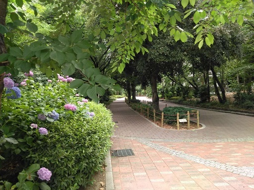 e0353802_21500951.jpg