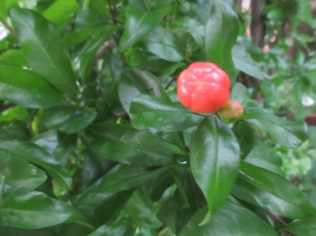 a0203003_21102928.jpg