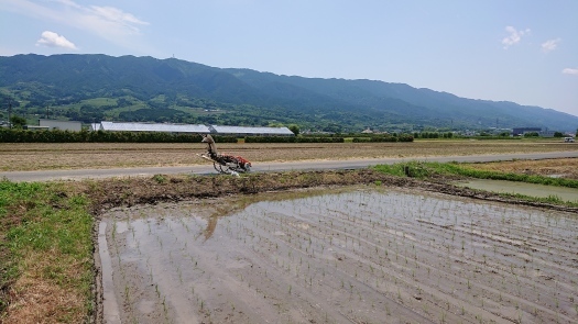 中国出発で、焦っています❗_a0130305_19544317.jpg