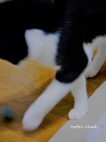 c0098807_17501142.jpg