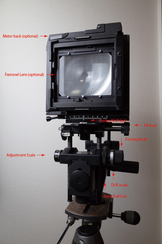 SINAR f1 : Square Photography