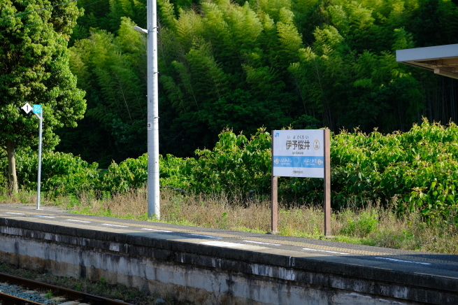 愛媛の旅 その1_e0000910_19372544.jpg