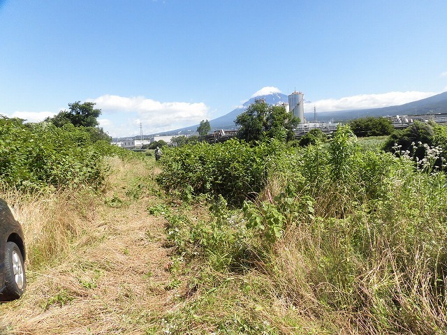 雨上がりは草が重いが、やはり「数は力」なり! 令和最初の「滝川の土手普請」_f0141310_07205519.jpg
