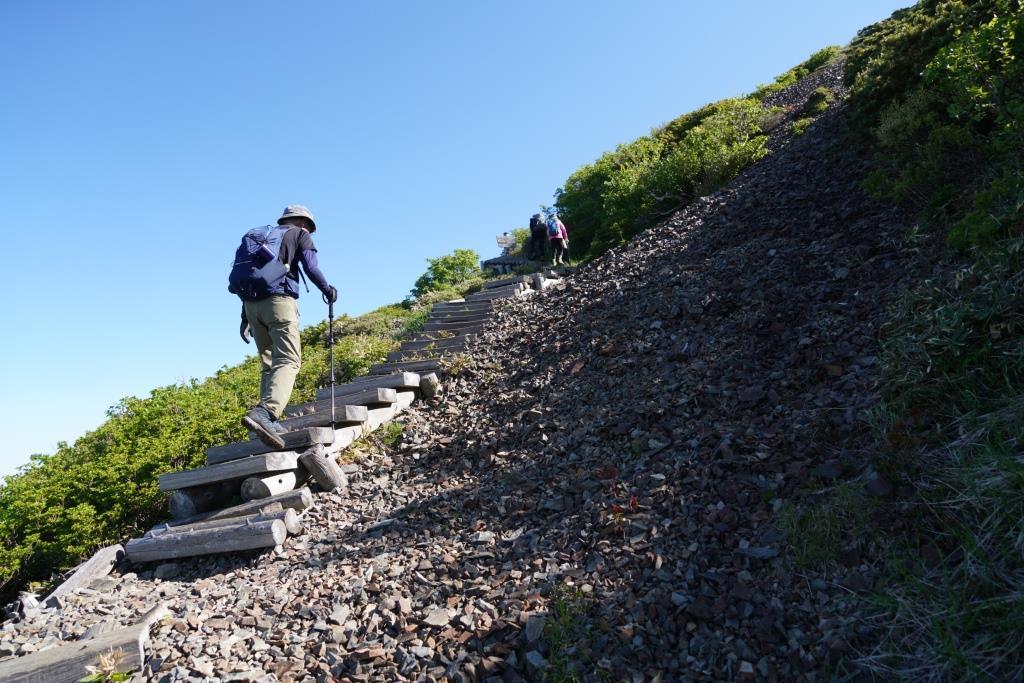 2019/6/13 『平標山～仙ノ倉山』花いっぱいの稜線歩き＆嬉しいバッタリ_a0340812_08205107.jpg