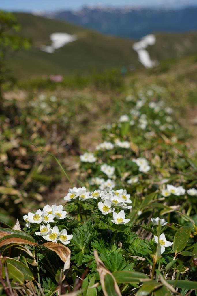 a0340812_08214978.jpg