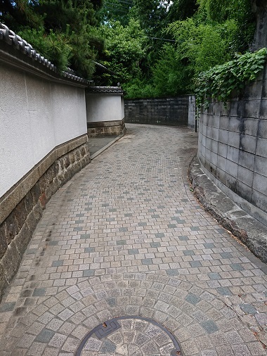d0129713_17302026.jpg
