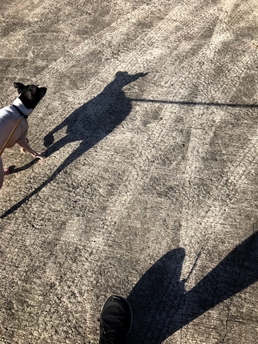 a0200815_07124414.jpeg