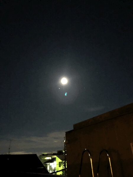 b0268815_22583500.gif