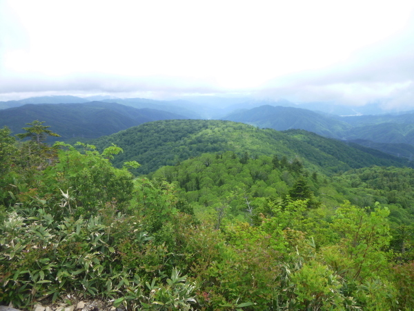 d0170615_23222892.jpg