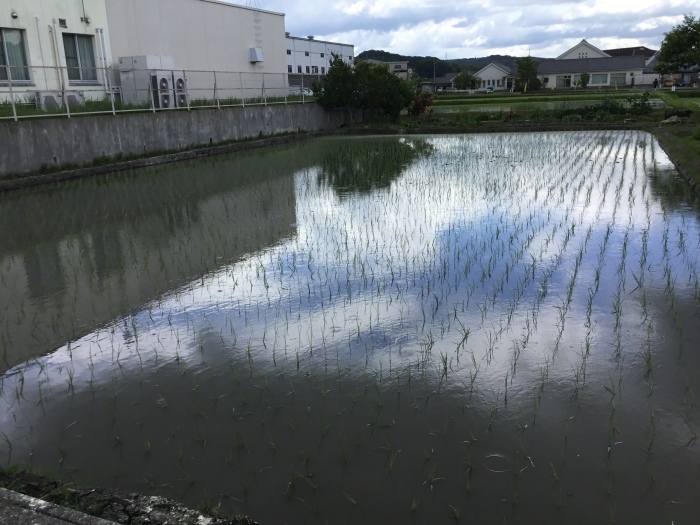 a0156636_22372041.jpeg