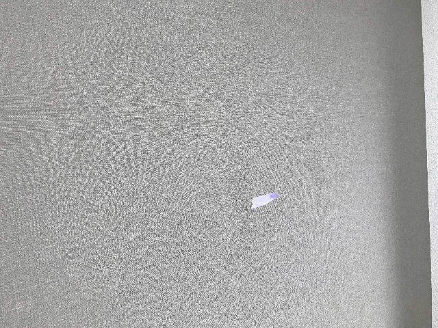 f0031037_16040904.jpg