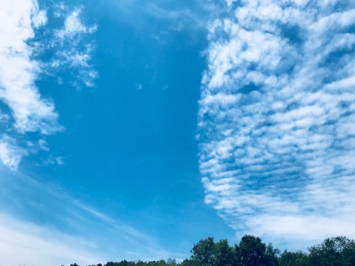 e0242439_23042717.jpg