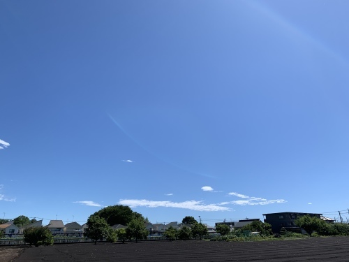 b0330040_01134412.jpeg