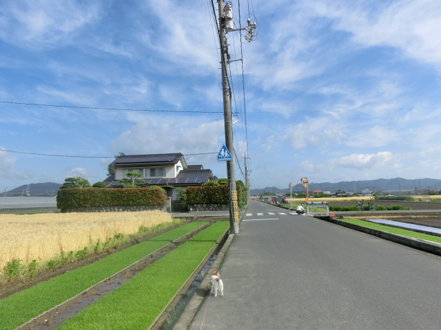 b0297741_17030738.jpg