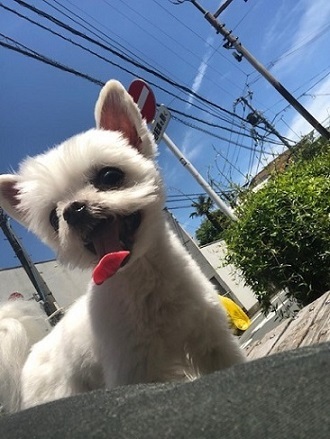 a0251743_15203047.jpeg