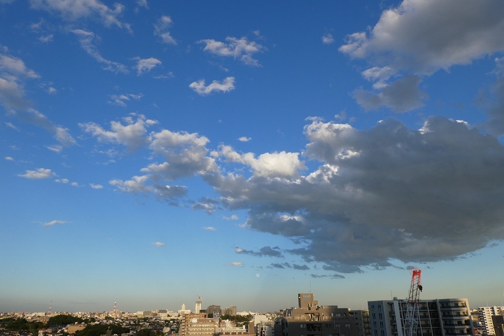 d0288144_00350116.jpg
