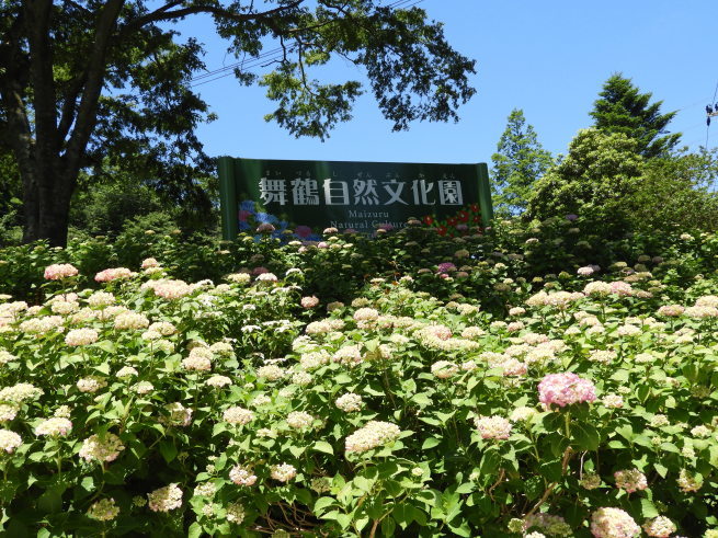 d0154954_08522378.jpg