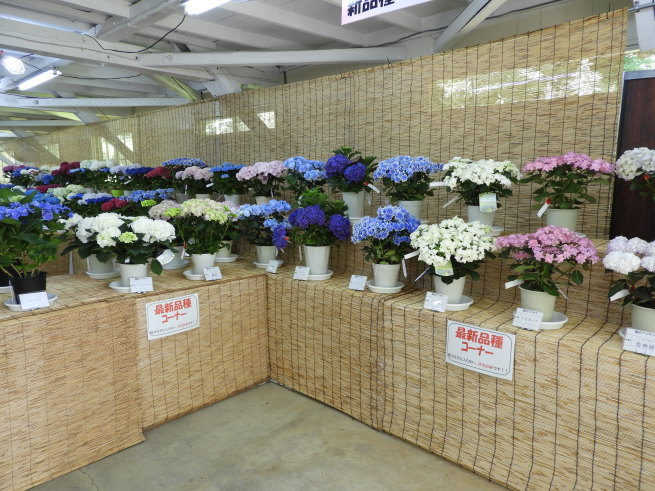 d0154954_08533200.jpg