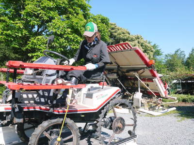 米作りの挑戦(2019) 田植え(後編:田植え機での田植えと補植)_a0254656_17065914.jpg
