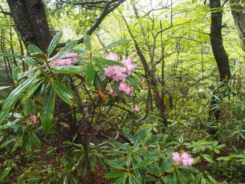 b0335256_21504233.jpg