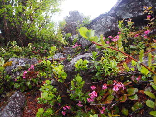 b0335256_21541840.jpg