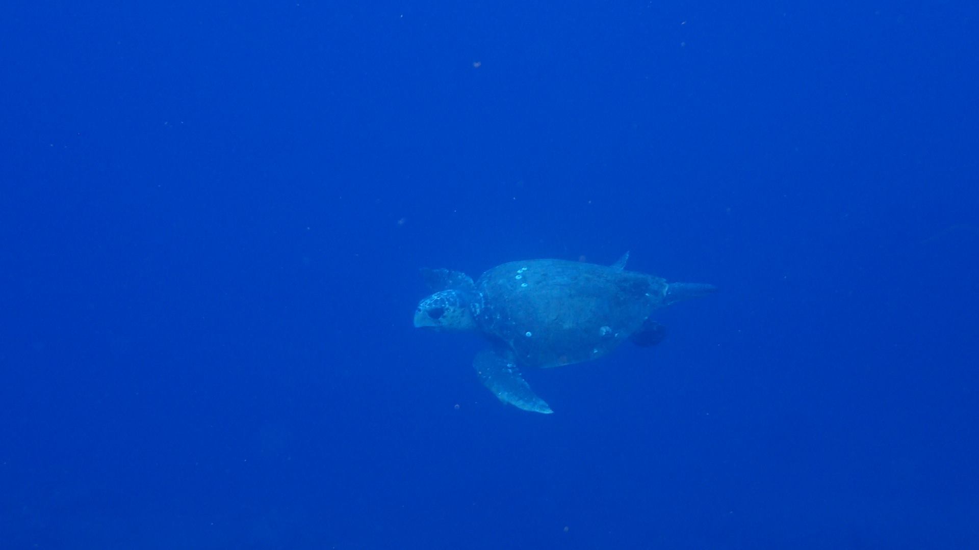 b0160957_18292797.jpg