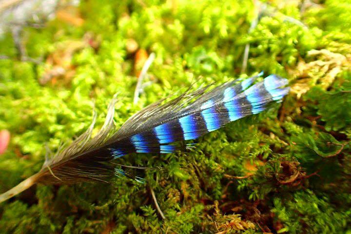 b0160957_18294864.jpg