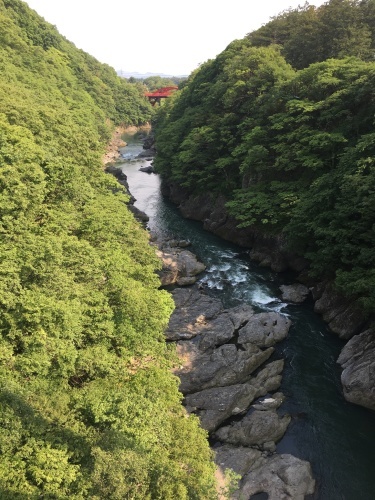 b0145863_22544470.jpeg