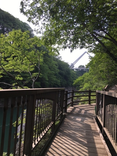b0145863_22545881.jpeg