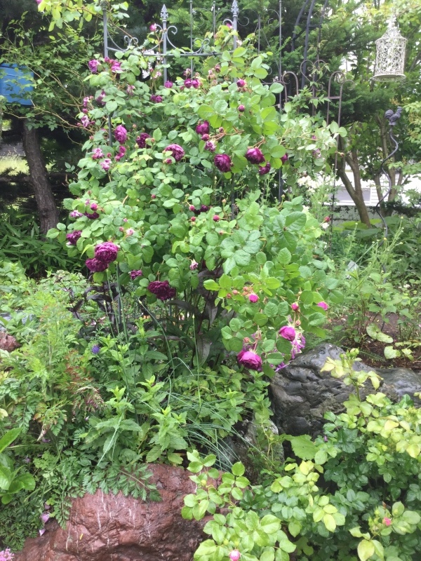 d0320463_09315632.jpeg