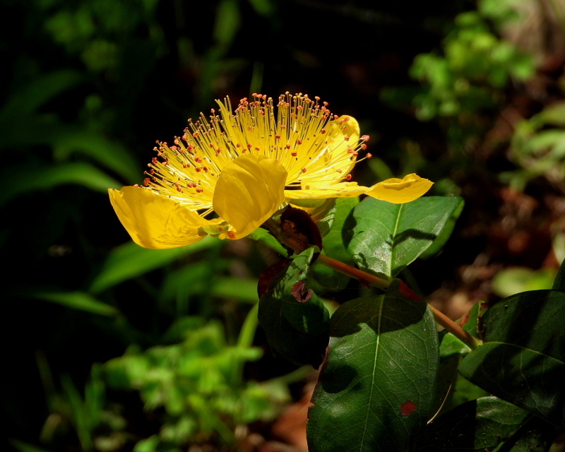 c0305565_17525037.jpg