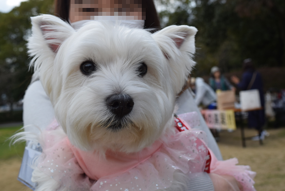 b0242873_18401187.png
