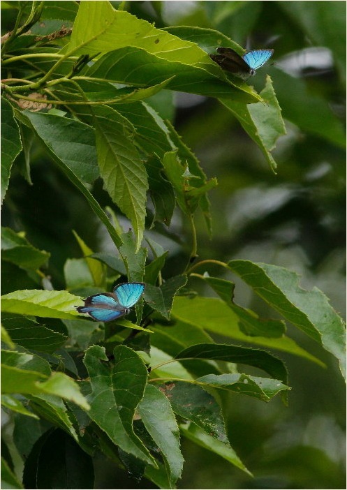 f0181173_16500566.jpg