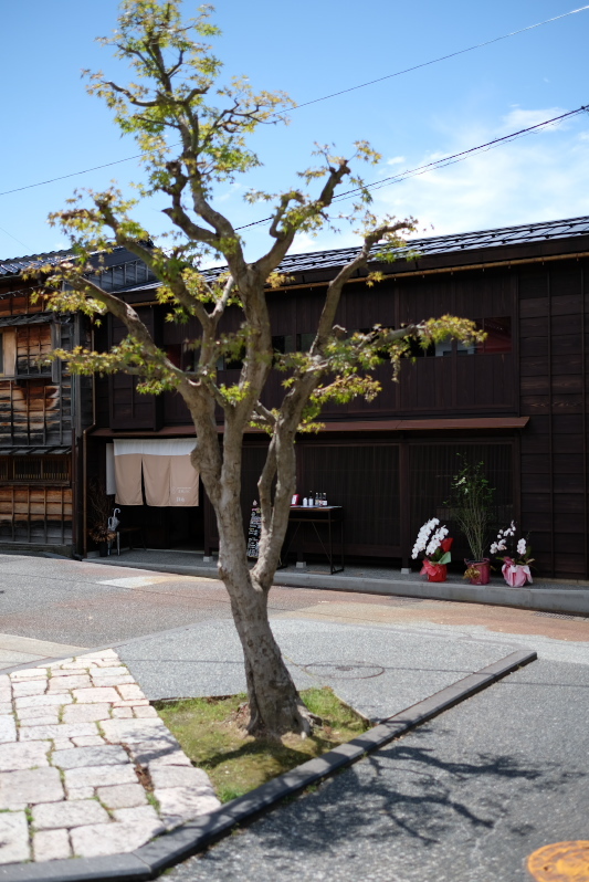 e0015174_20142400.jpg